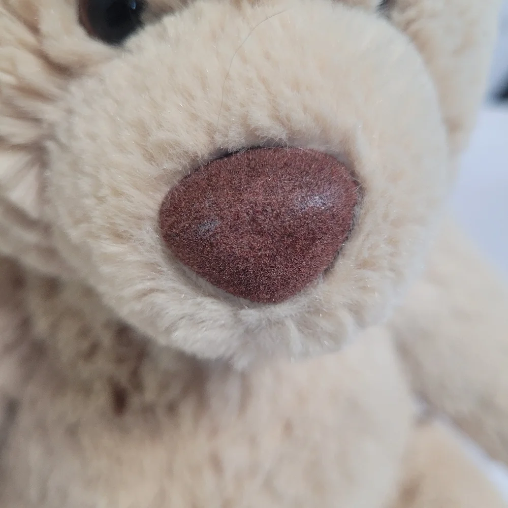 Aeropostale Brown Tan Sitting Bear Plush Stuffed Animal 12" - Picture 3 of 10